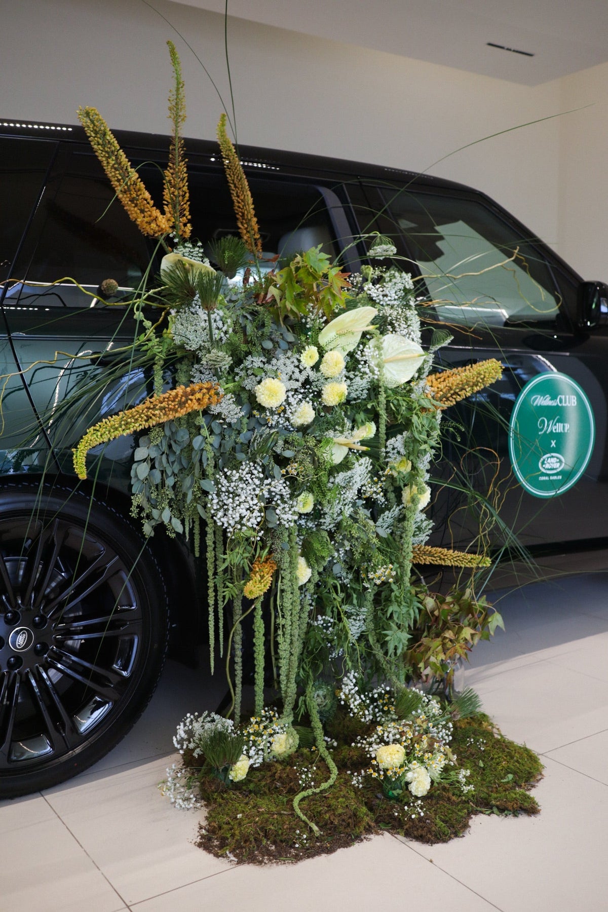 land rover