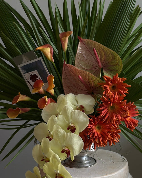bahia - tropical