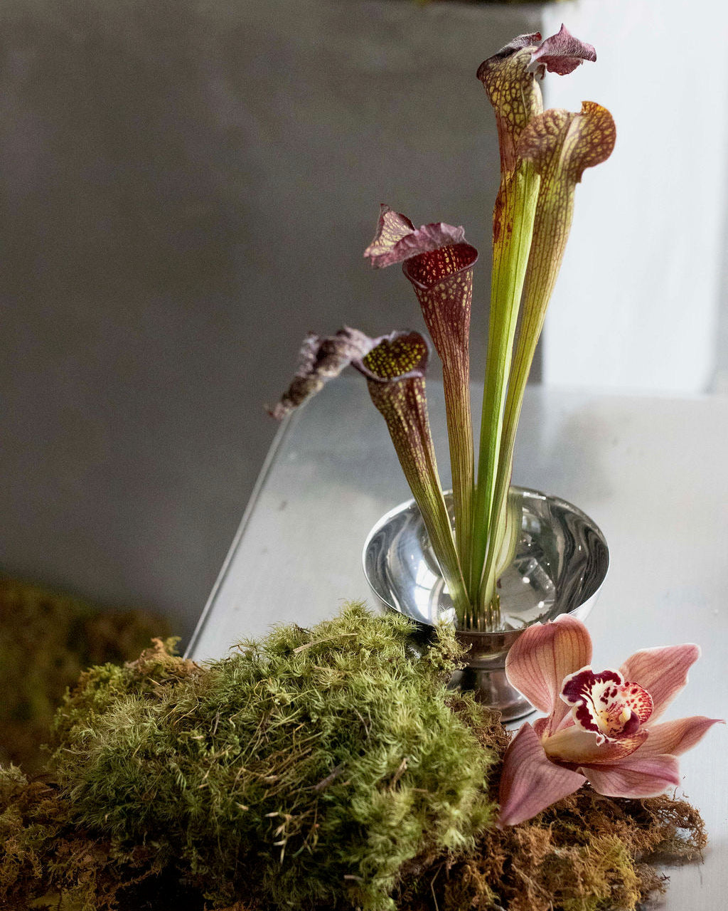 bud vase bundle