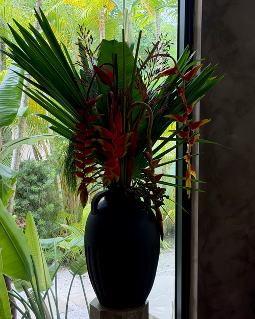 bahia - tropical